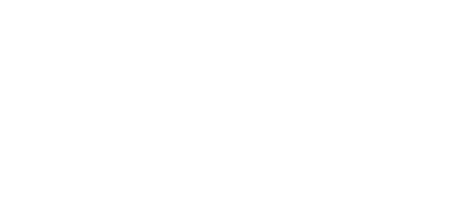 Micromax Premium